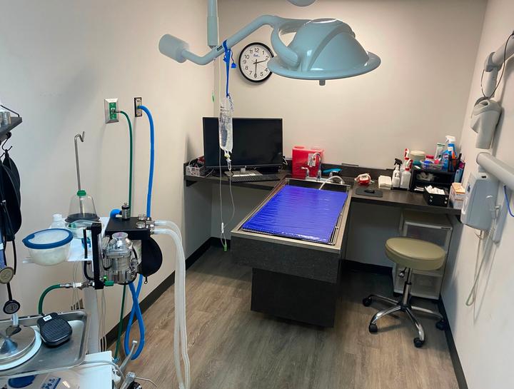 Marietta Pet Dentist Pet Teeth Cleaning